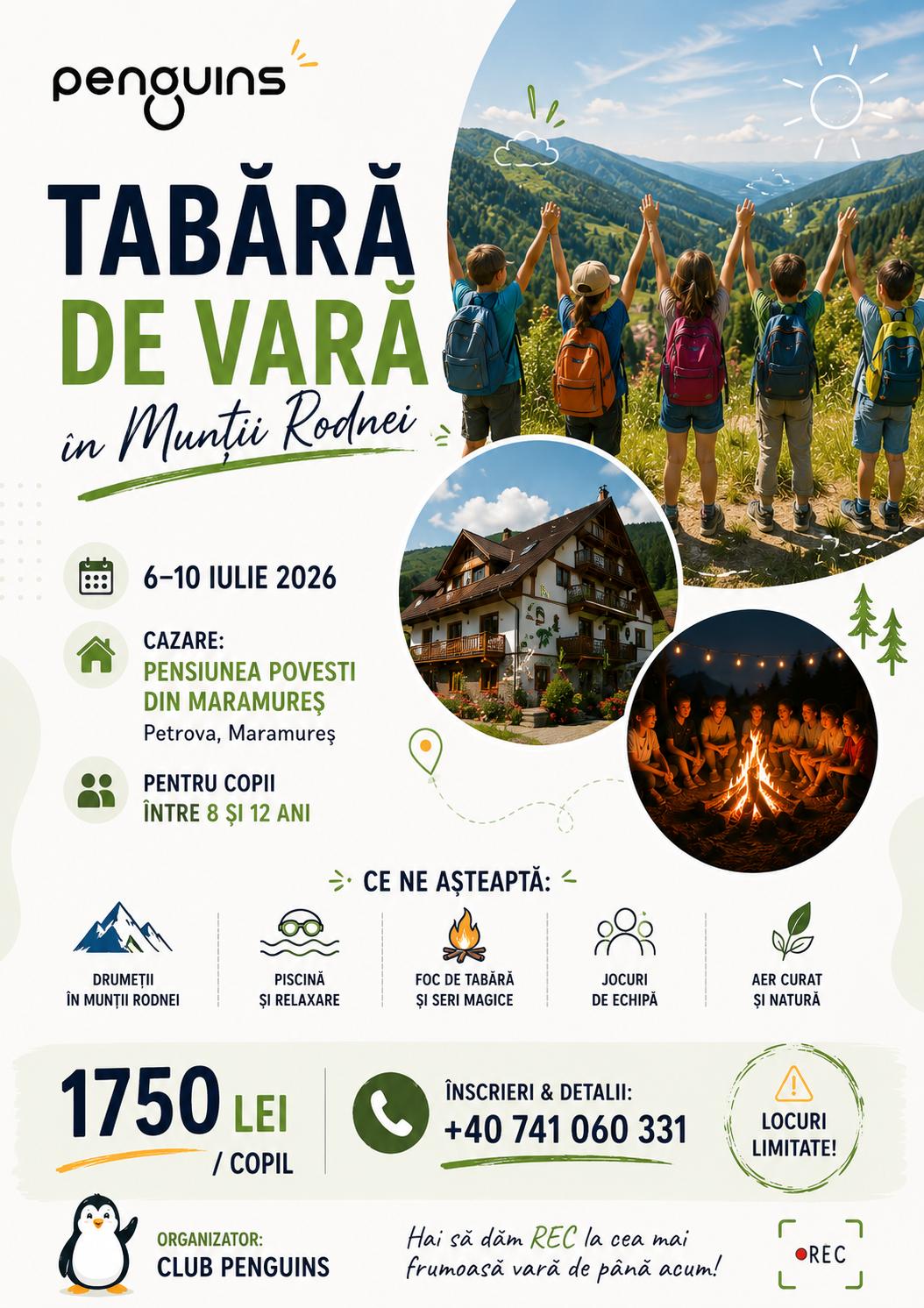 Tabăra Munții Rodnei — poster